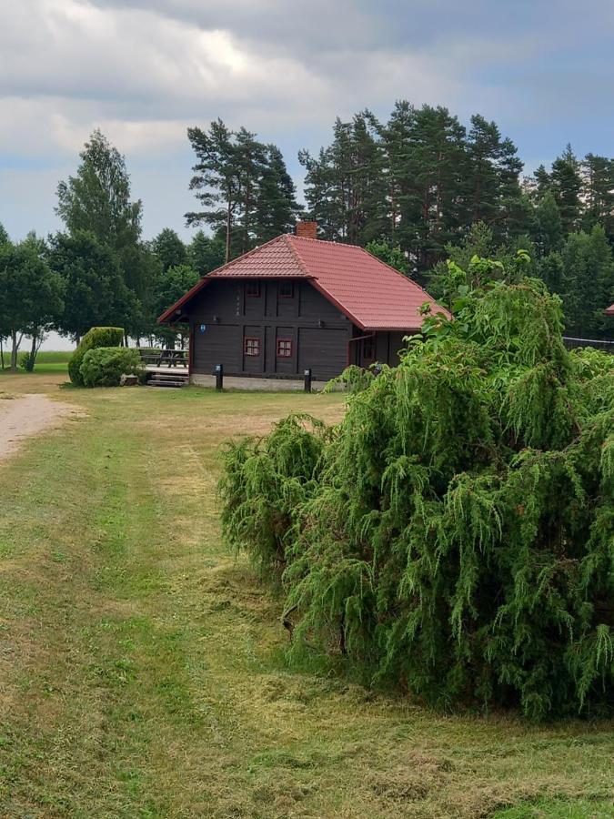 Brivdienu Maja Greizi Myza Dzirtsiyems Eksteriør billede